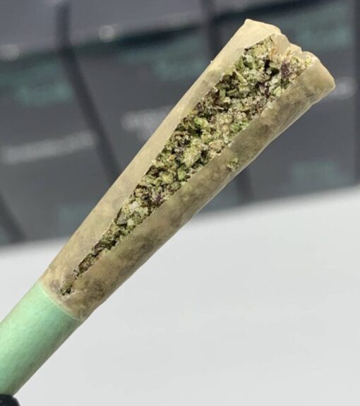 Boutiq Churros