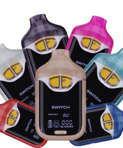 Boutiq Switch V4